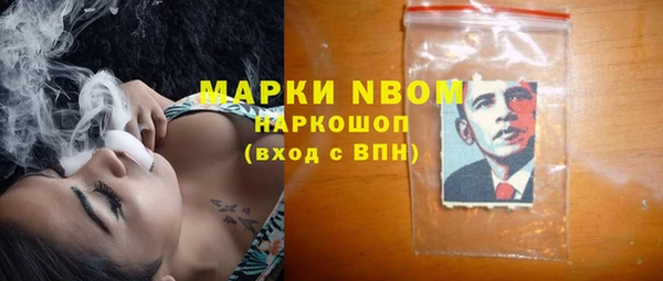 гашик Каменногорск