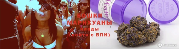гашик Каменногорск