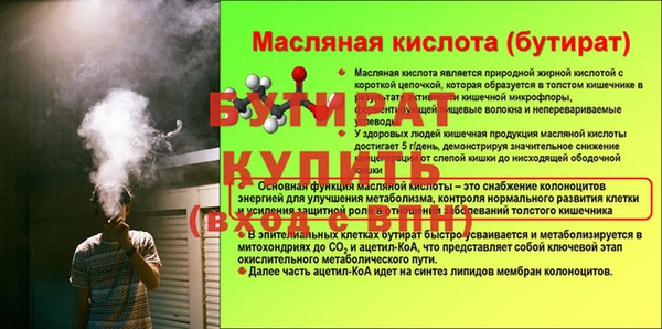 гашик Каменногорск