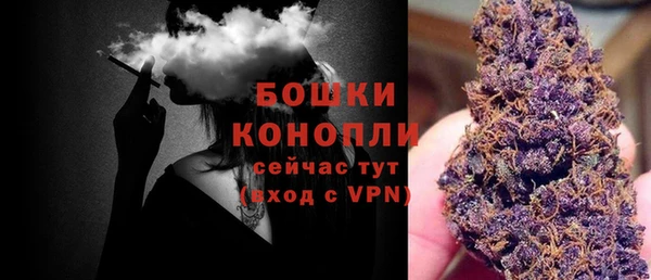 соль курить ск Каменка