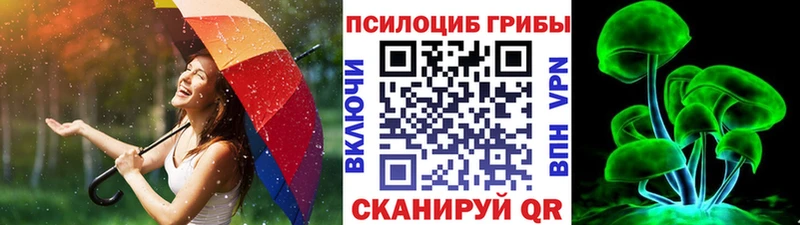 Купить закладки  Белореченск  Псилоцибиновые грибы прущие грибы 